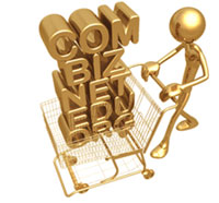 reseller domain